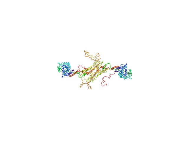 BILBOMD model