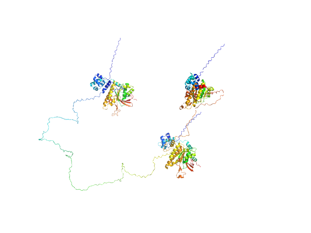Breast cancer type 2 susceptibility protein (BRC repeats 2-4) DNA repair protein RAD51 homolog 1 (F86E A89E) MULTIFOXS model