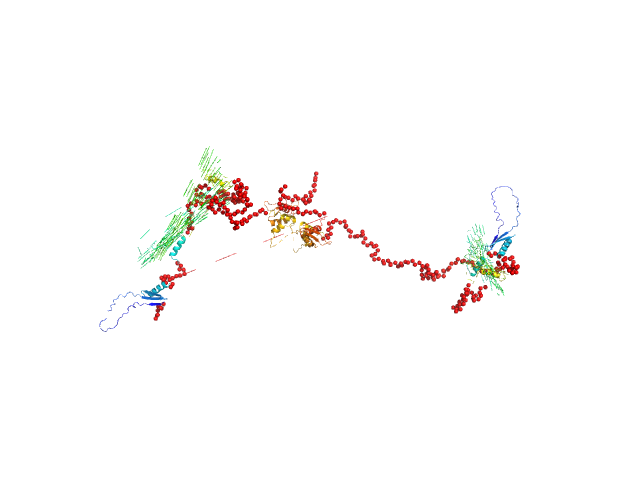 Double-stranded RNA-binding protein Staufen homolog 1 (82-577) EOM/RANCH model