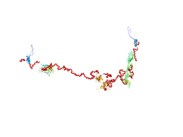 Double-stranded RNA-binding protein Staufen homolog 1 (82-577) EOM/RANCH model
