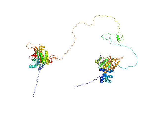 DNA repair protein RAD51 homolog 1 (F86E A89E) Breast cancer type 2 susceptibility protein (BRC repeats 1-2) MULTIFOXS model
