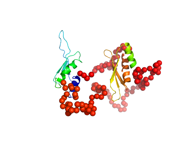 Double-stranded RNA-binding protein Staufen homolog 1 (286-577 + Δ454-488) EOM/RANCH model