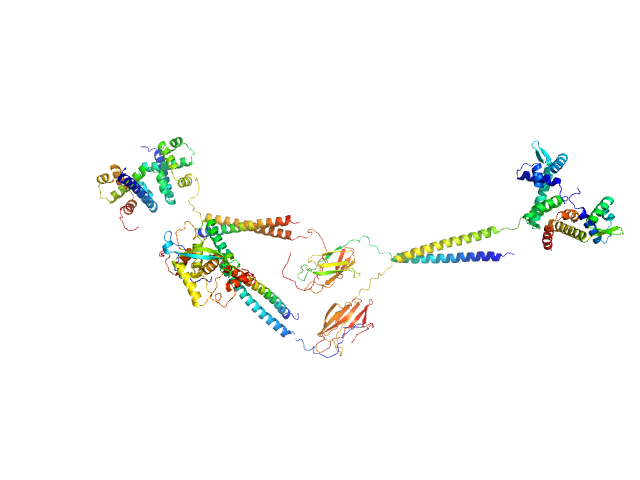 Tumbleweed MULTIFOXS model