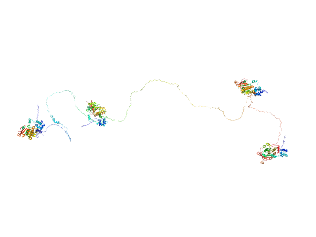 Breast cancer type 2 susceptibility protein (BRC repeats 1-4) DNA repair protein RAD51 homolog 1 (F86E A89E) MULTIFOXS model