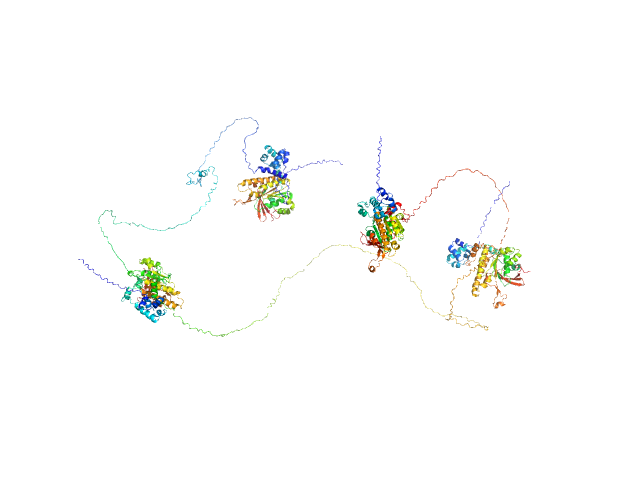 Breast cancer type 2 susceptibility protein (BRC repeats 1-4) DNA repair protein RAD51 homolog 1 (F86E A89E) MULTIFOXS model