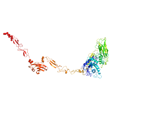 CORAL model
