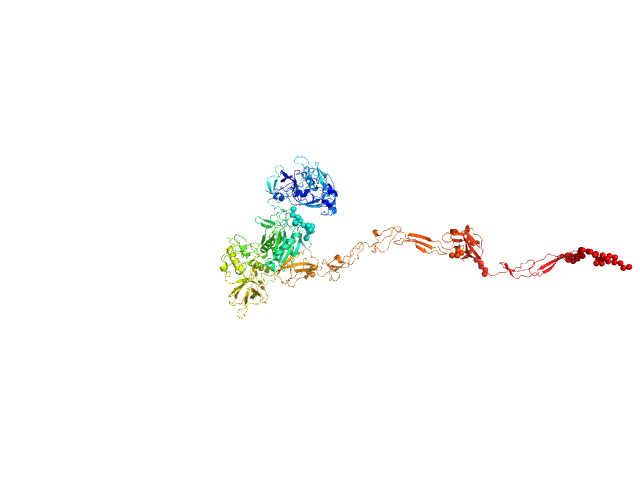 CORAL model