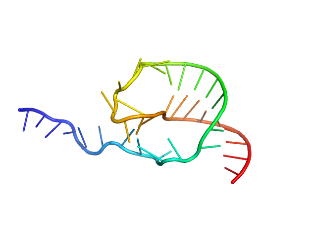 Stimulatory element RNA COOT model