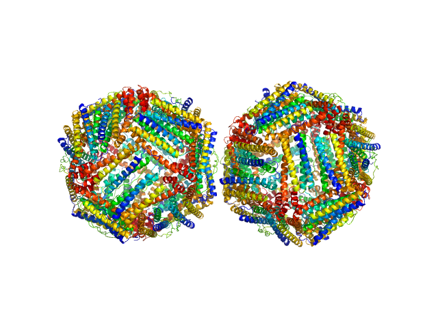 Ferritin light chain CHIMERA model