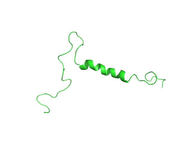 Isoform Short of Small EDRK-rich factor 1 OTHER model