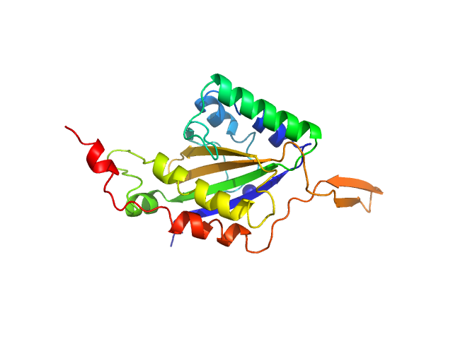 PHENIX model