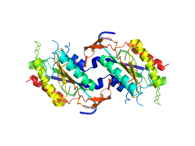 Relaxase nic sequence, single stranded PYMOL model