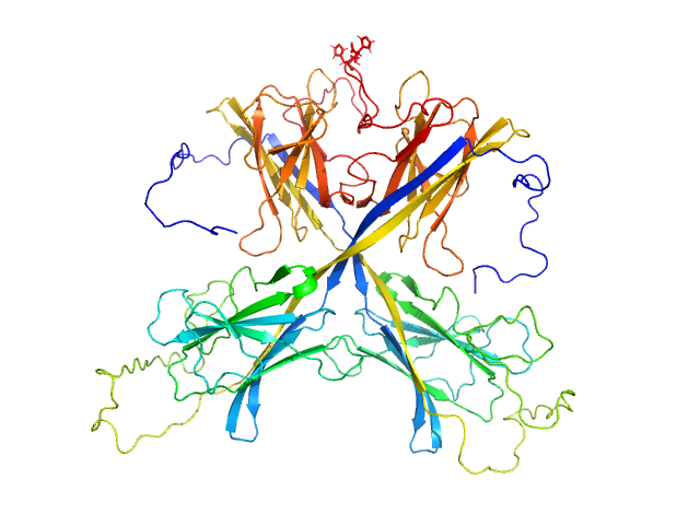 BILBOMD model