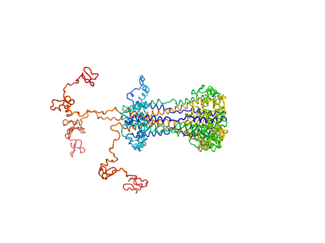 BILBOMD model