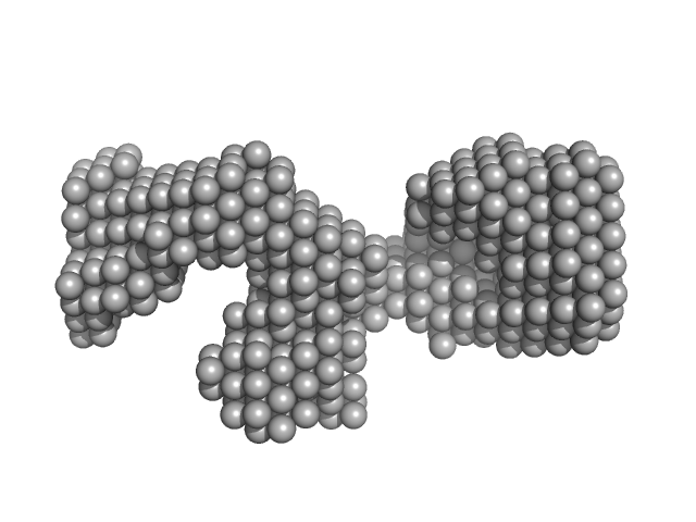 DENV2 RNA, 5' Untranslated region DAMMIN model