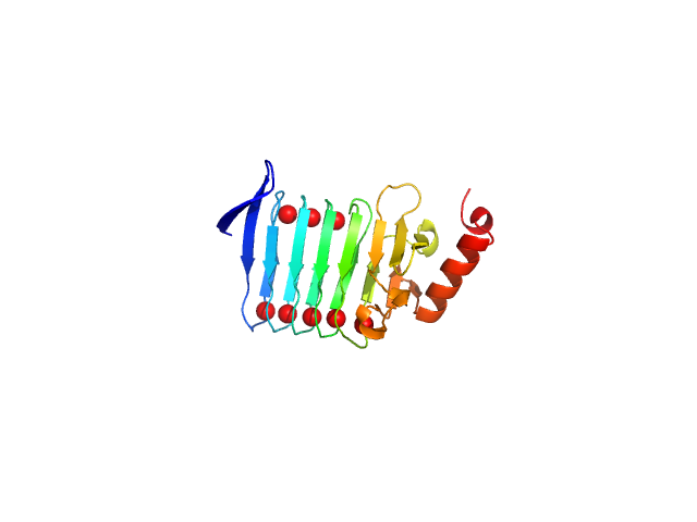 Repeats-in-toxin domain Block V of adenylate cyclase toxin REFMAC model