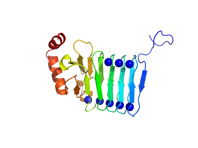 Repeats-in-toxin domain Block V of adenylate cyclase toxin ALPHAFOLD model