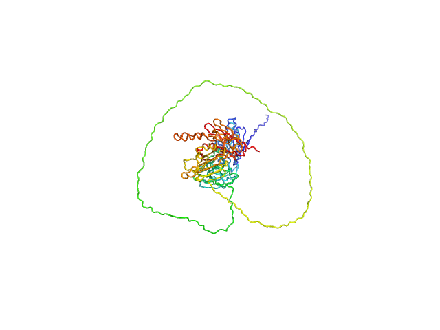BILBOMD model