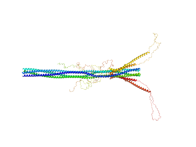 XPLOR-NIH model