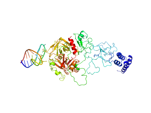 MULTIFOXS model
