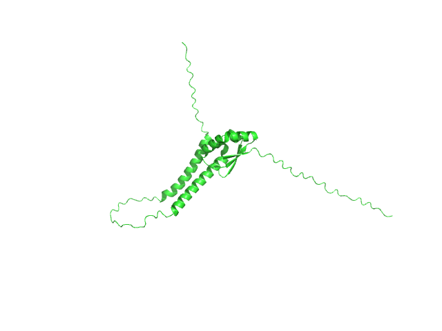 DNA replication protein DciA OTHER model