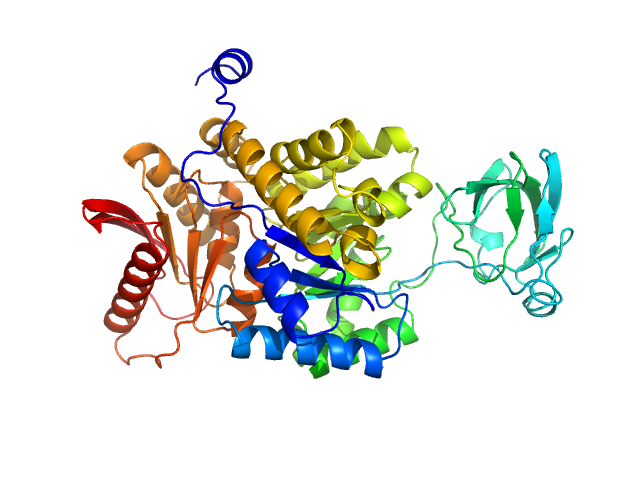 Pyruvate Kinase ALPHAFOLD model