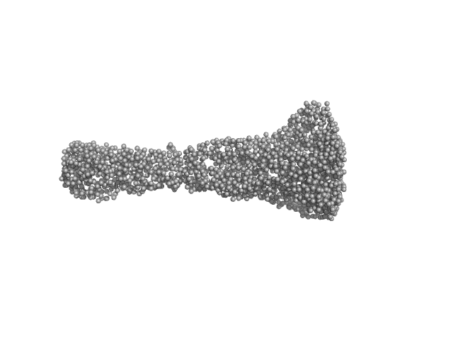 GASBOR model