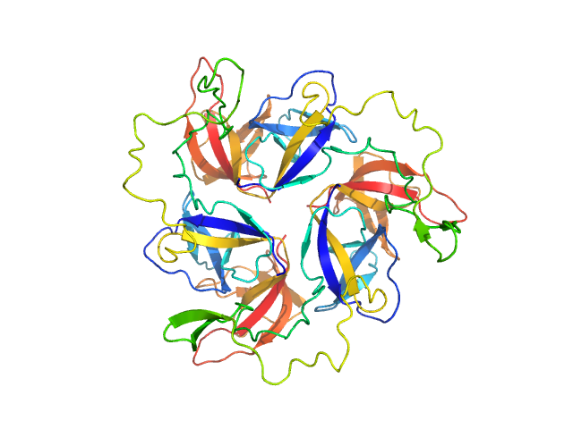 chaperon for trimerisation of Dpo31 COOT model