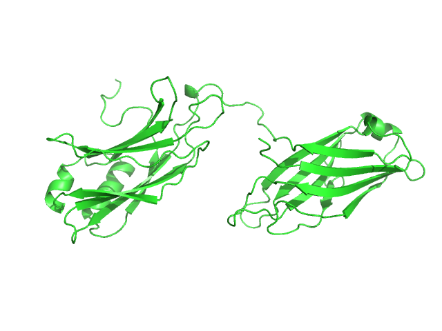 Double C2-like domain-containing protein beta OTHER model