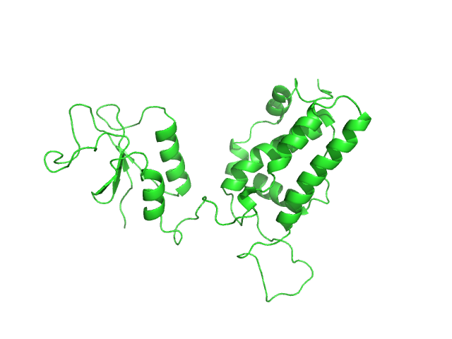 Chloride intracellular channel protein 5 OTHER model