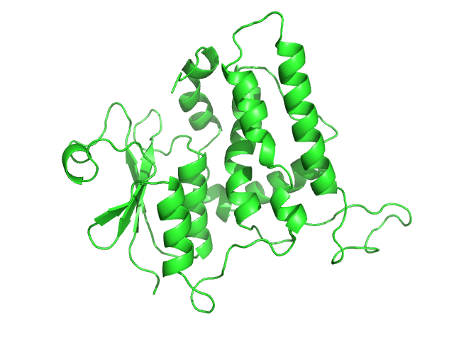Chloride intracellular channel protein 5 OTHER model