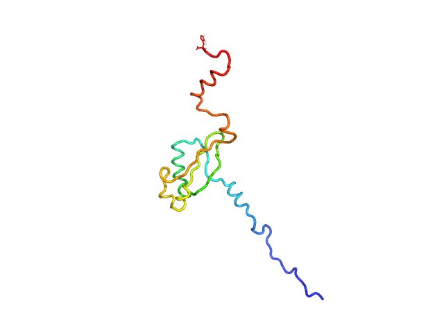 BILBOMD model