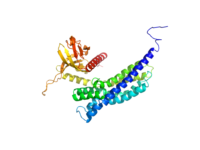 BILBOMD model
