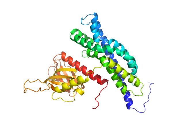 BILBOMD model