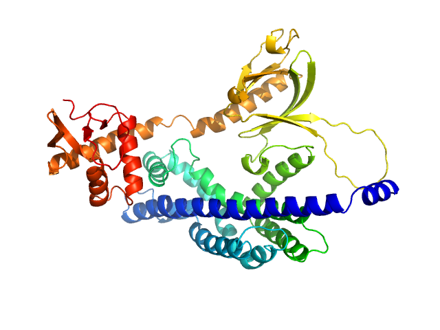 BILBOMD model
