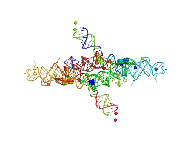 Varkud Satellite (VS) ribozyme NONE model