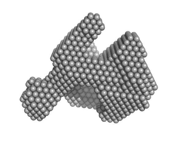 Lysozyme C DAMMIF model