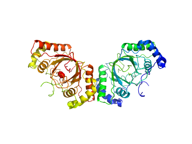 ORF73 tetramer ORF73 dimer NONE model