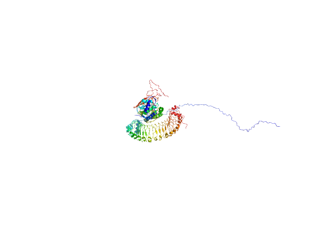 BILBOMD model