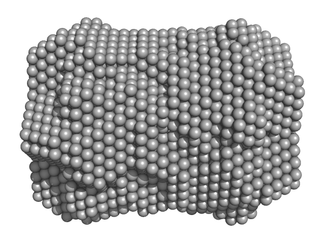 gp11 encapsidation protein DAMMIF model